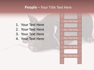 Little Animal Young PowerPoint Template