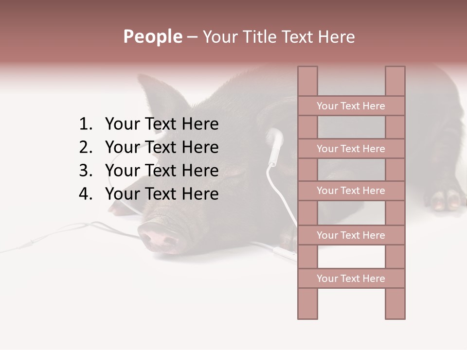 Little Animal Young PowerPoint Template