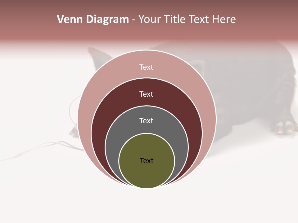 Little Animal Young PowerPoint Template