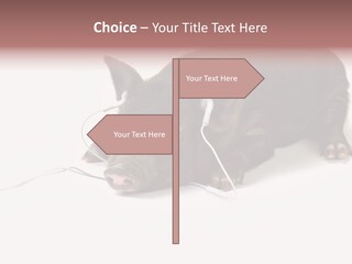 Little Animal Young PowerPoint Template
