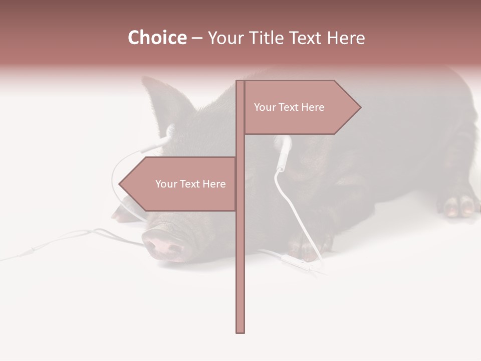 Little Animal Young PowerPoint Template