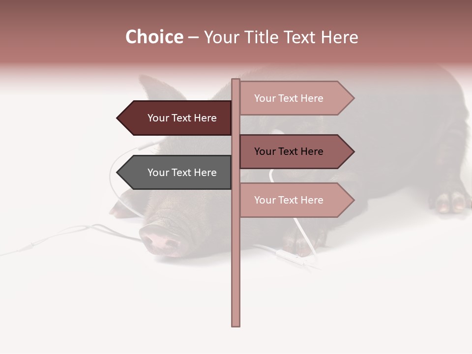 Little Animal Young PowerPoint Template