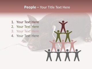 Little Animal Young PowerPoint Template