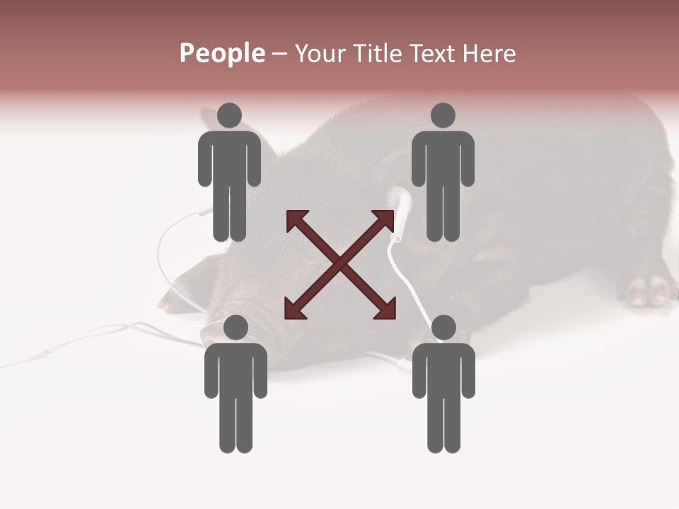 Little Animal Young PowerPoint Template