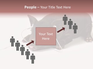 Little Animal Young PowerPoint Template