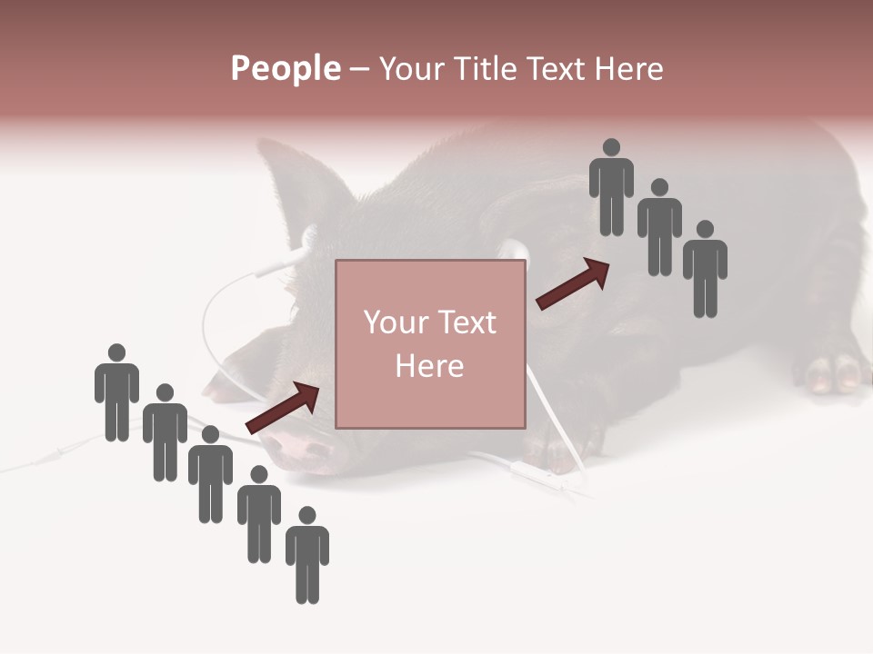 Little Animal Young PowerPoint Template