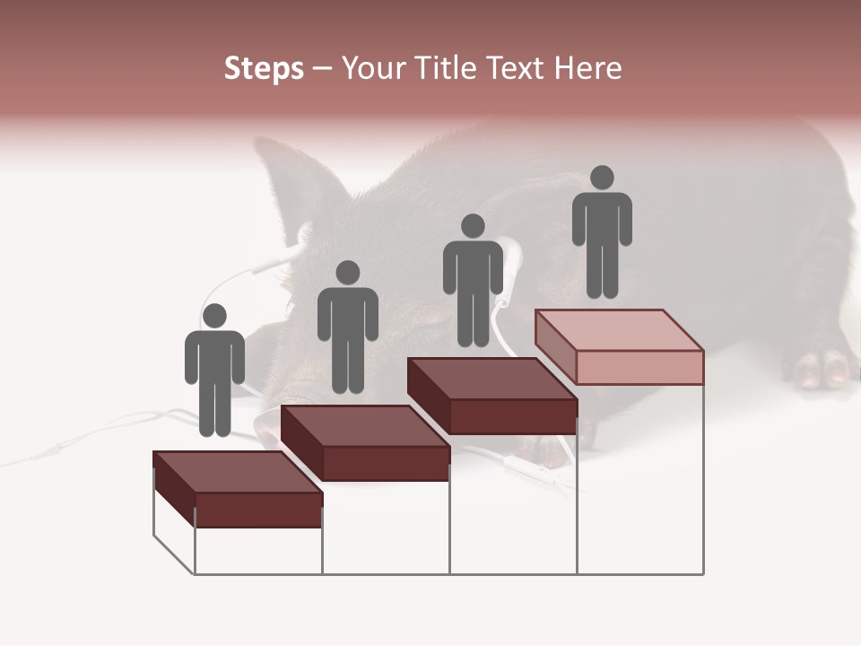 Little Animal Young PowerPoint Template