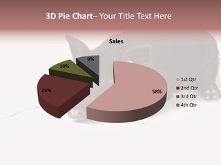 Little Animal Young PowerPoint Template