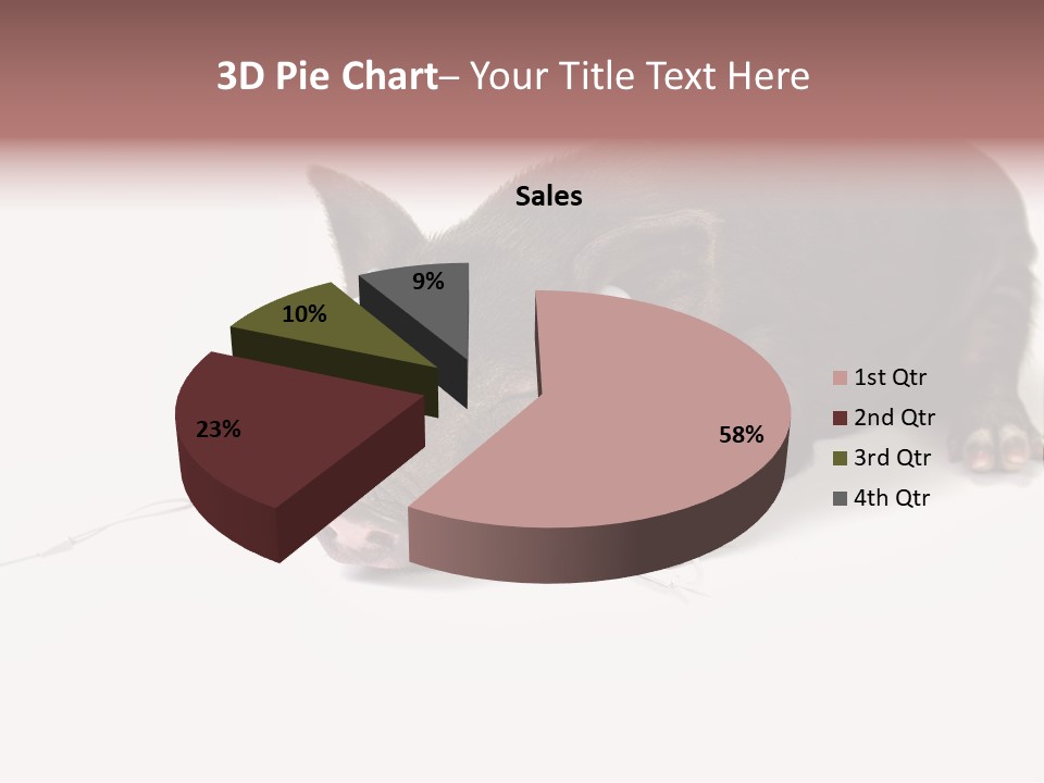 Little Animal Young PowerPoint Template
