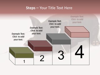Little Animal Young PowerPoint Template
