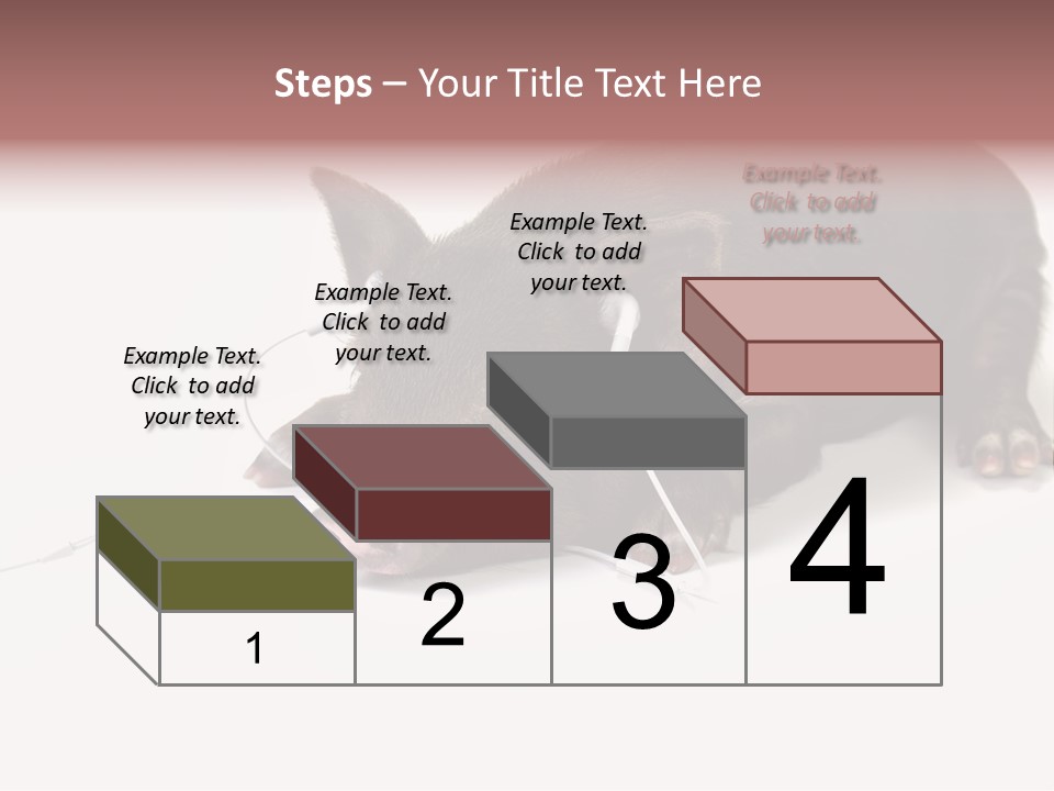 Little Animal Young PowerPoint Template