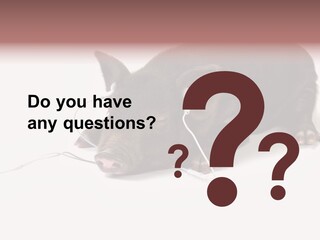 Little Animal Young PowerPoint Template