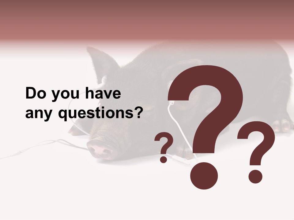 Little Animal Young PowerPoint Template
