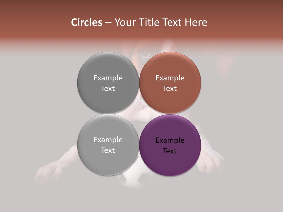 Wrinkle Cut Flashy PowerPoint Template