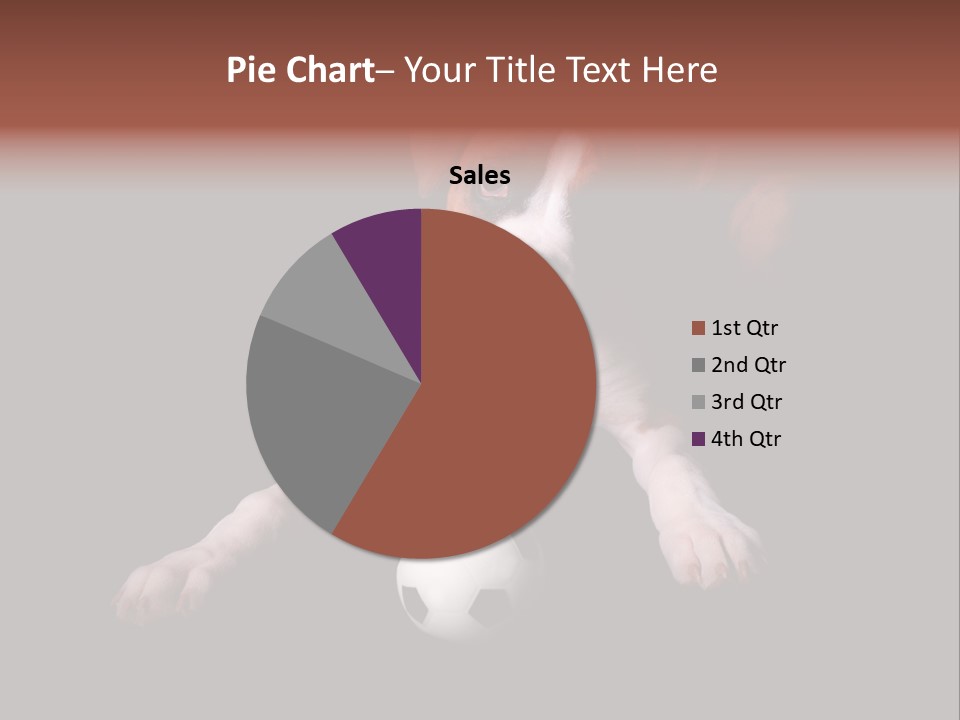 Wrinkle Cut Flashy PowerPoint Template