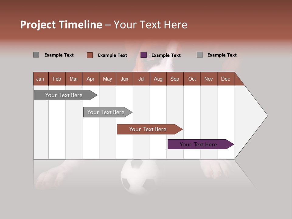 Wrinkle Cut Flashy PowerPoint Template