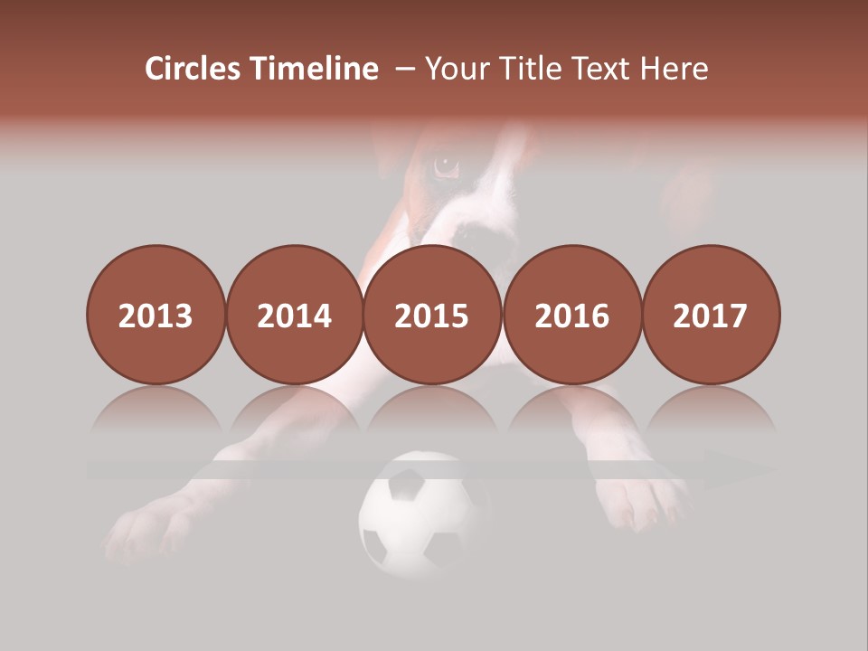 Wrinkle Cut Flashy PowerPoint Template
