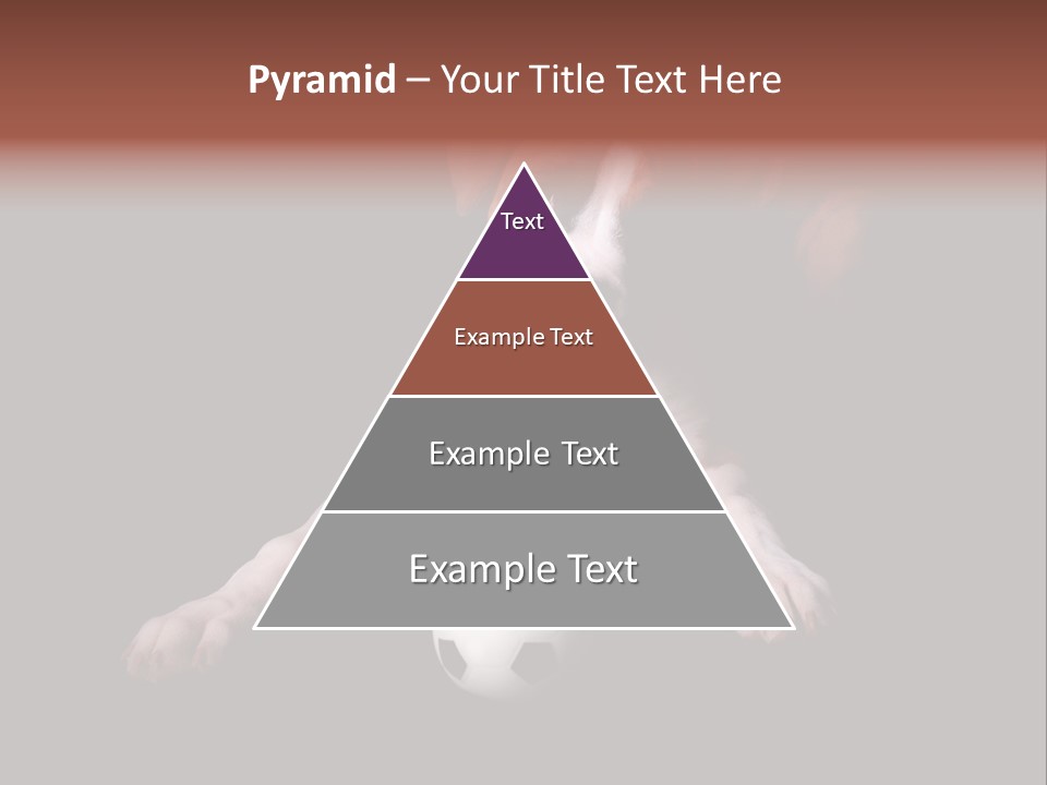 Wrinkle Cut Flashy PowerPoint Template