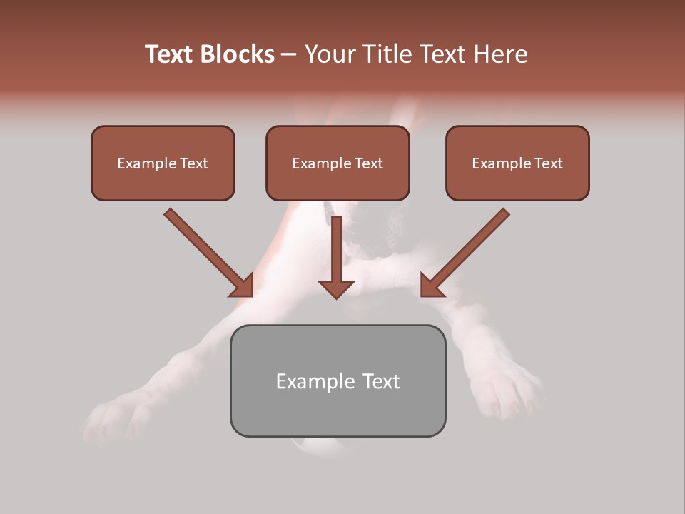 Wrinkle Cut Flashy PowerPoint Template
