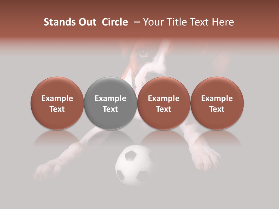 Wrinkle Cut Flashy PowerPoint Template
