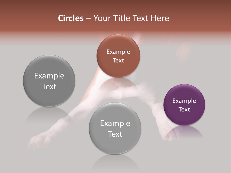 Wrinkle Cut Flashy PowerPoint Template