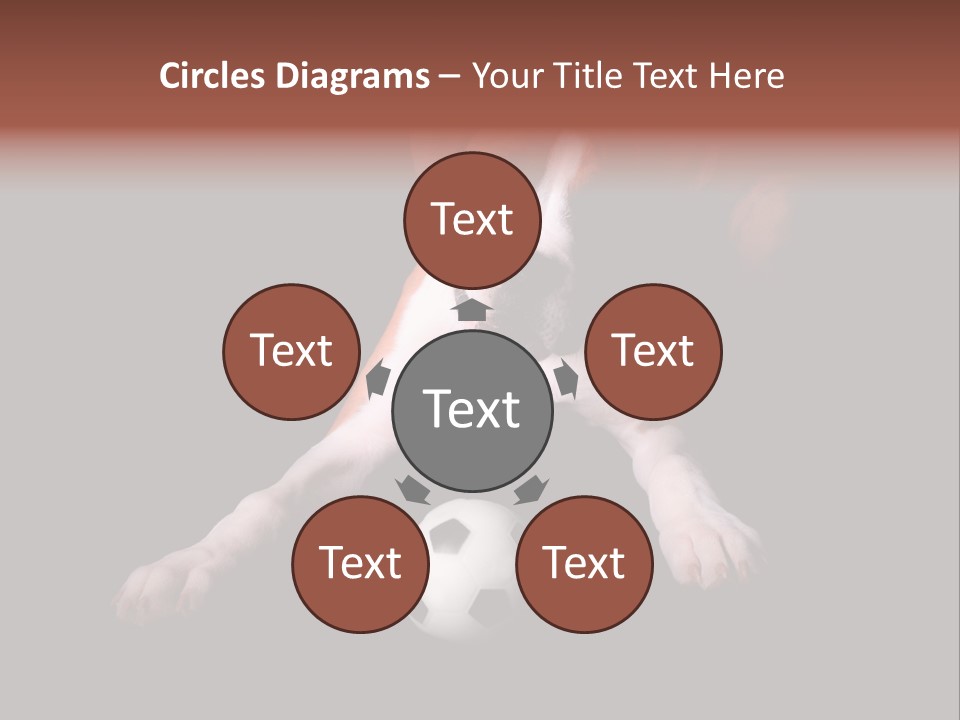 Wrinkle Cut Flashy PowerPoint Template