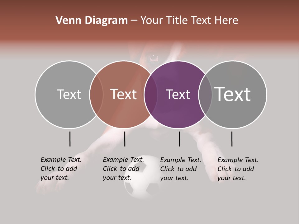 Wrinkle Cut Flashy PowerPoint Template
