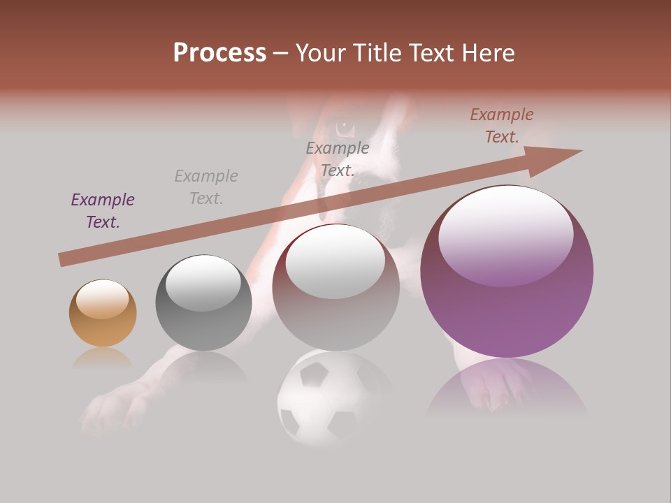 Wrinkle Cut Flashy PowerPoint Template