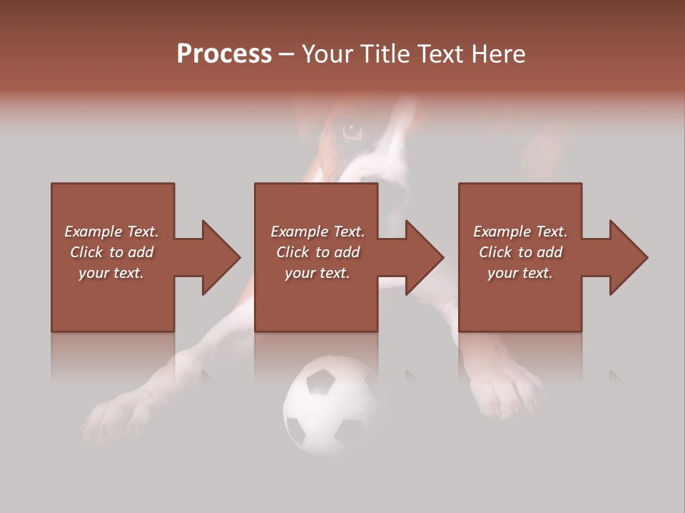 Wrinkle Cut Flashy PowerPoint Template