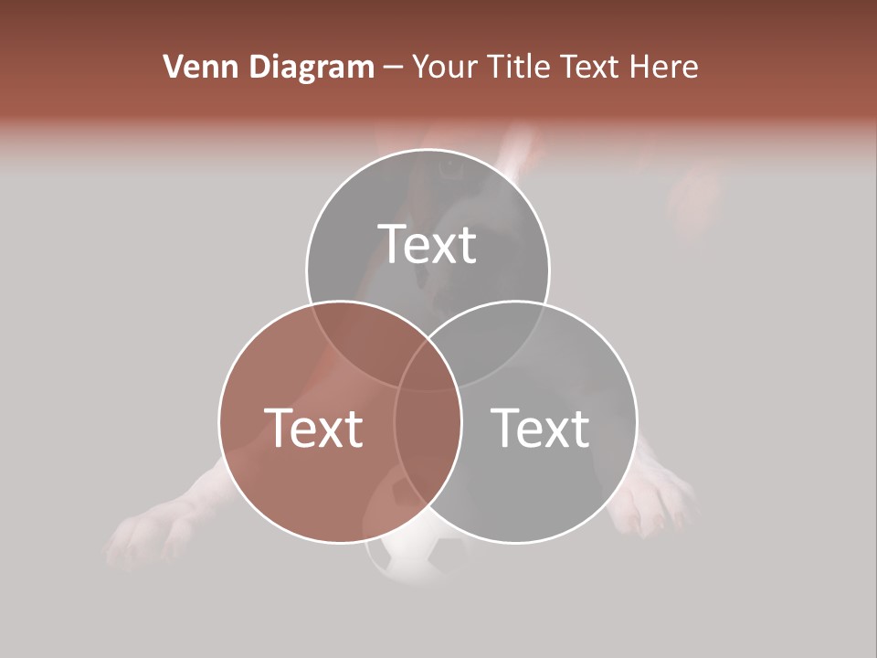 Wrinkle Cut Flashy PowerPoint Template