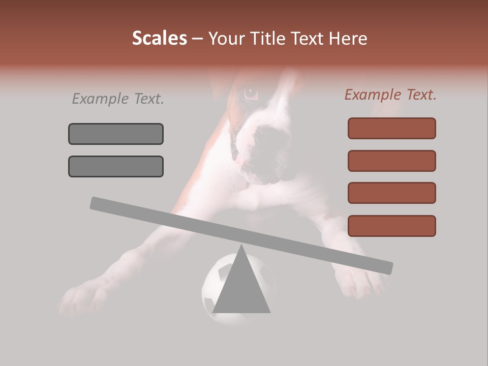 Wrinkle Cut Flashy PowerPoint Template