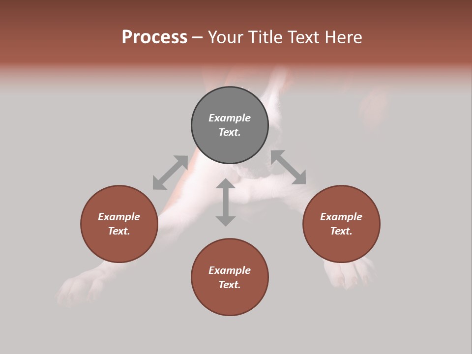 Wrinkle Cut Flashy PowerPoint Template
