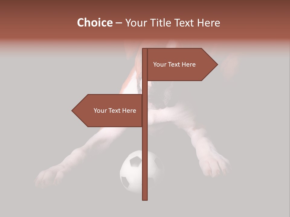 Wrinkle Cut Flashy PowerPoint Template