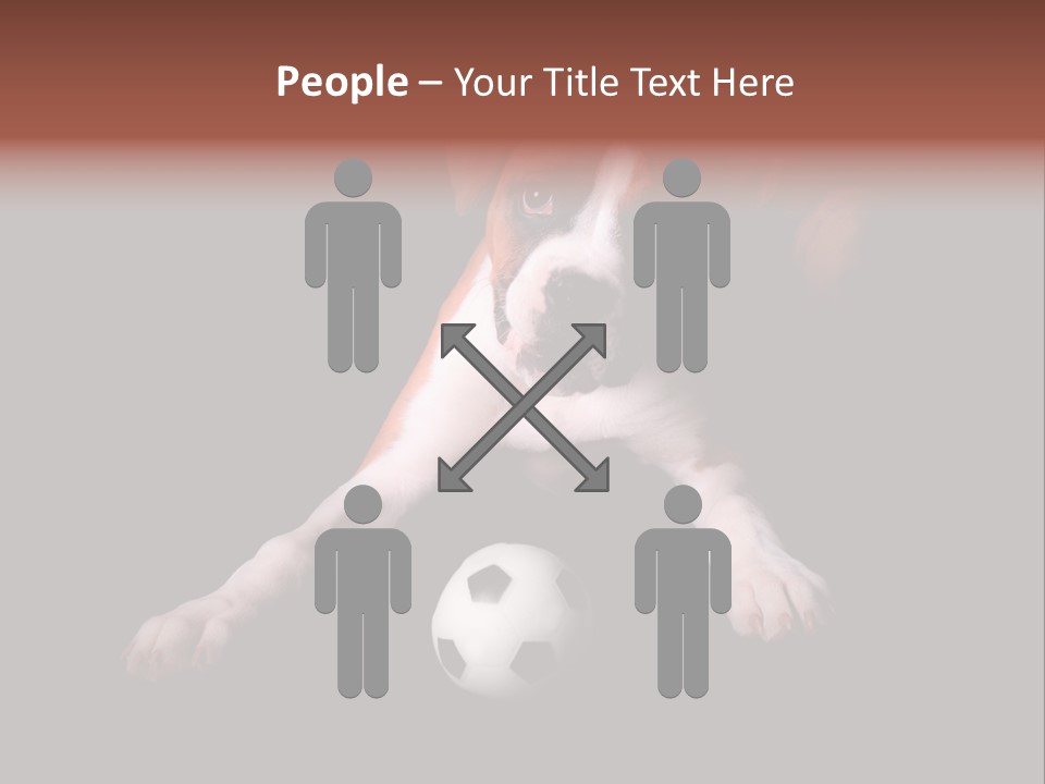 Wrinkle Cut Flashy PowerPoint Template