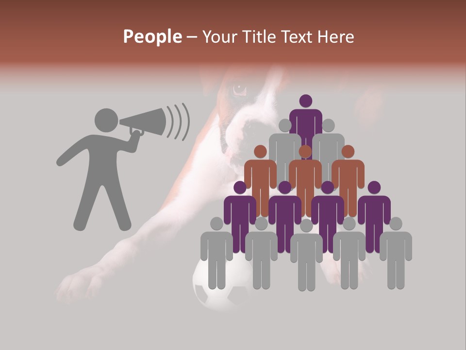 Wrinkle Cut Flashy PowerPoint Template