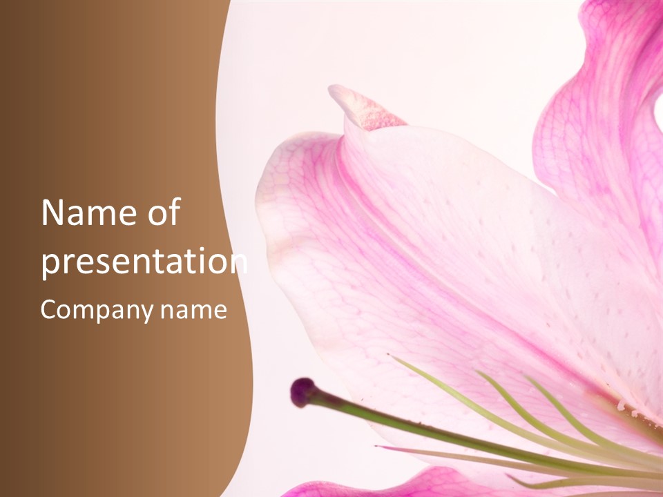 Beautiful Lilium Rose PowerPoint Template