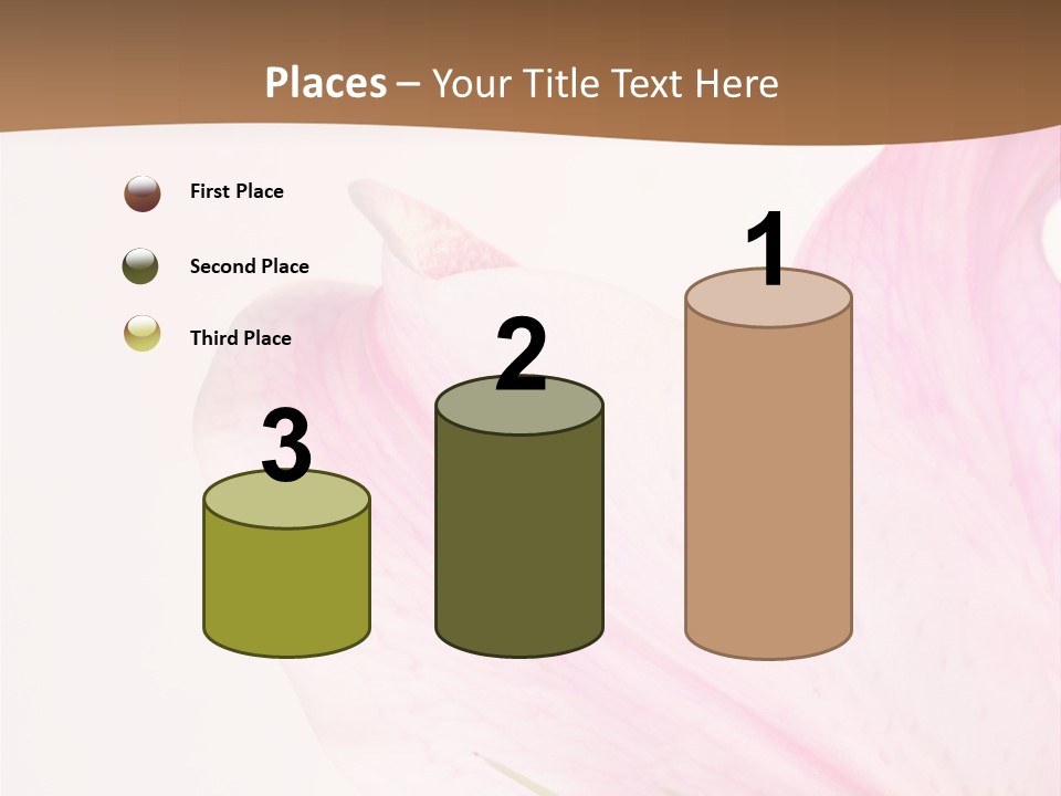 Beautiful Lilium Rose PowerPoint Template
