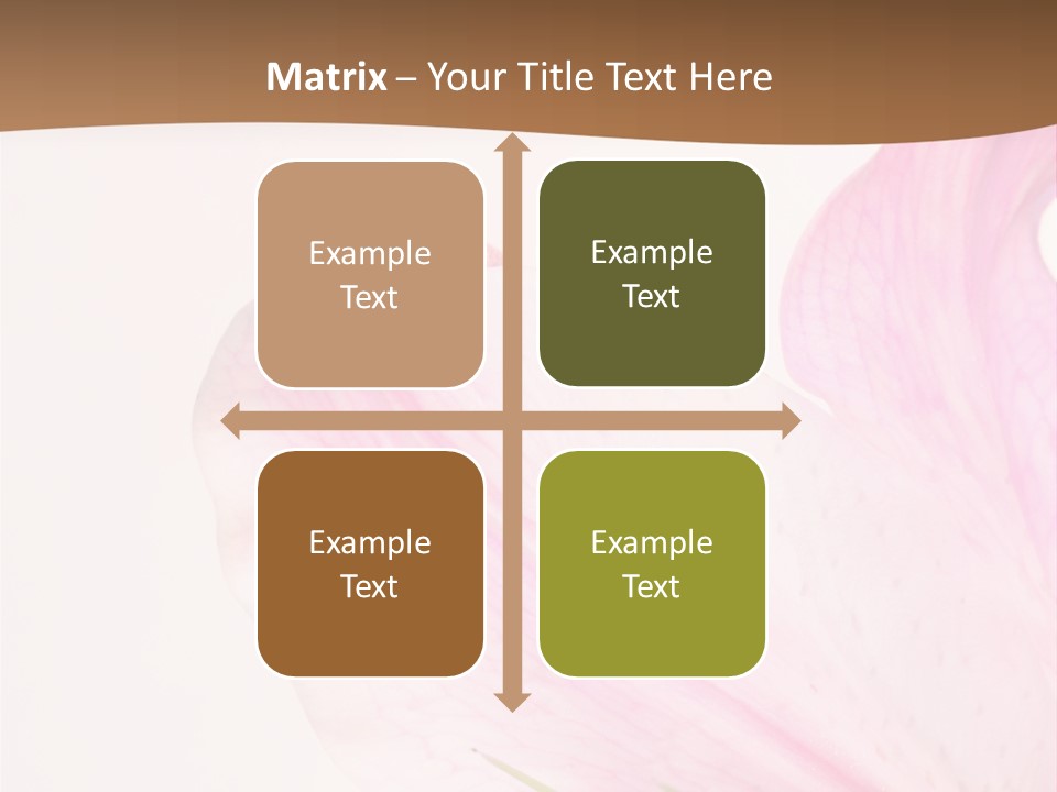 Beautiful Lilium Rose PowerPoint Template