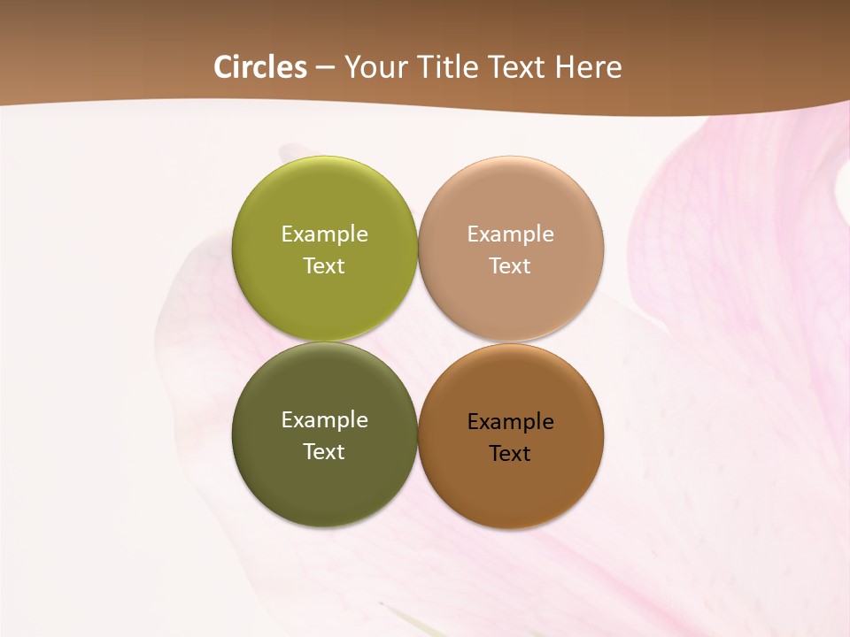 Beautiful Lilium Rose PowerPoint Template