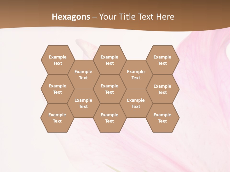 Beautiful Lilium Rose PowerPoint Template