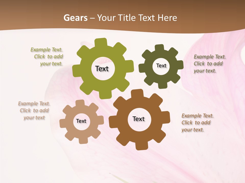 Beautiful Lilium Rose PowerPoint Template