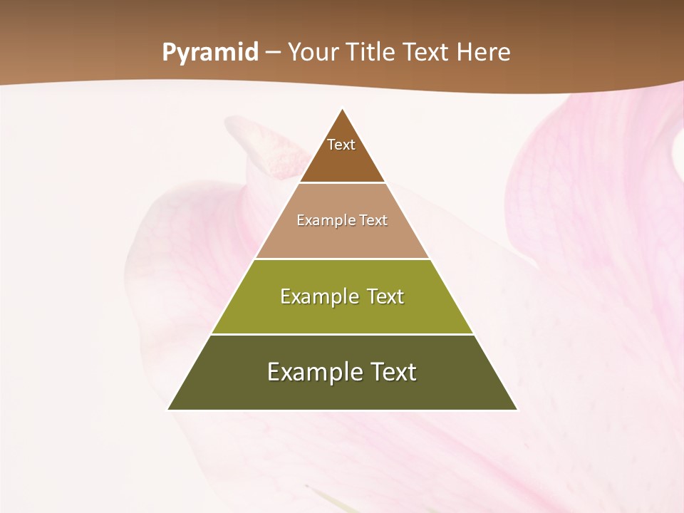 Beautiful Lilium Rose PowerPoint Template