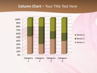Beautiful Lilium Rose PowerPoint Template