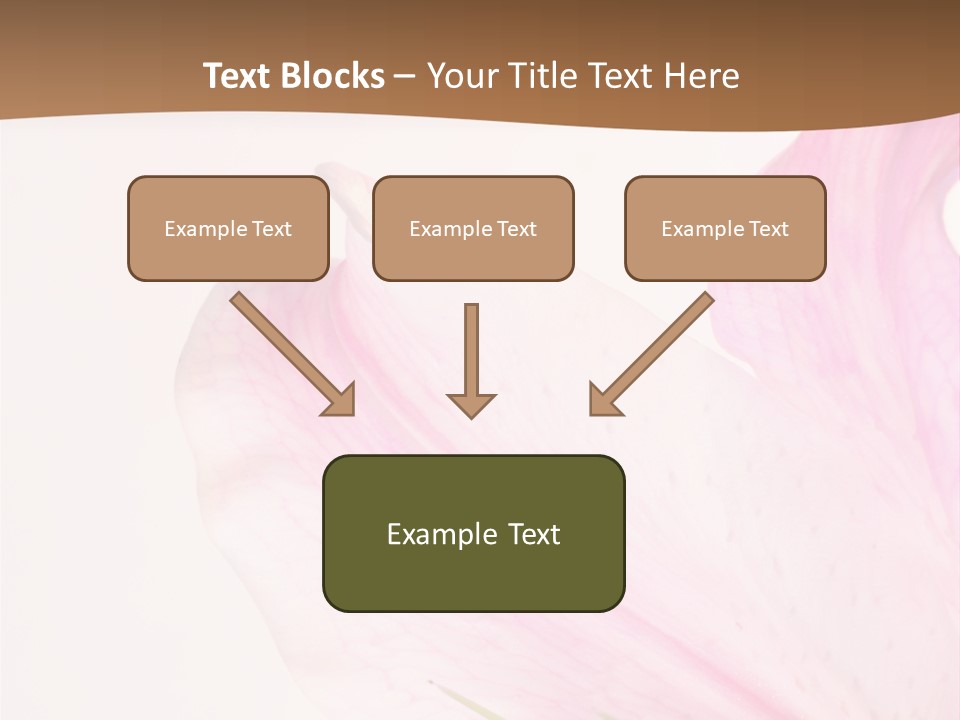 Beautiful Lilium Rose PowerPoint Template