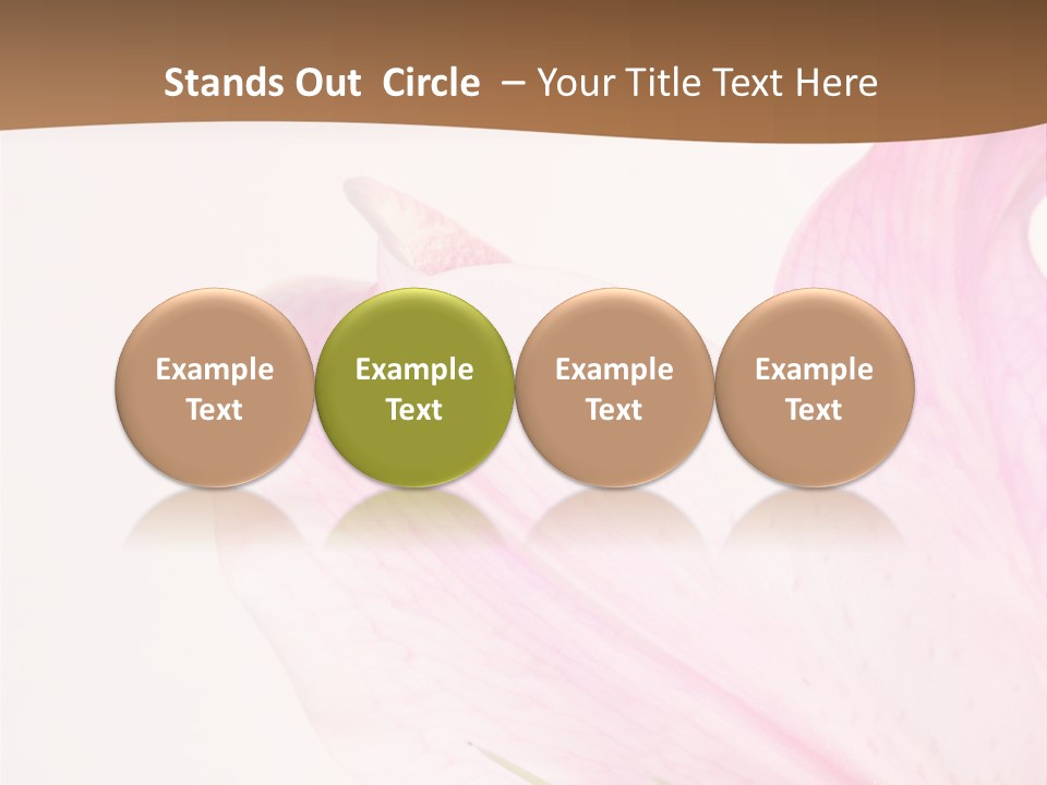 Beautiful Lilium Rose PowerPoint Template