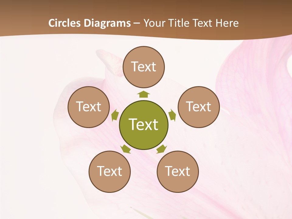 Beautiful Lilium Rose PowerPoint Template