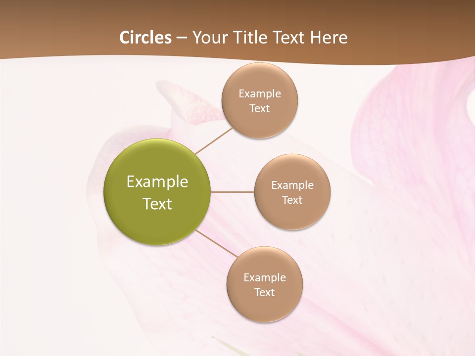 Beautiful Lilium Rose PowerPoint Template