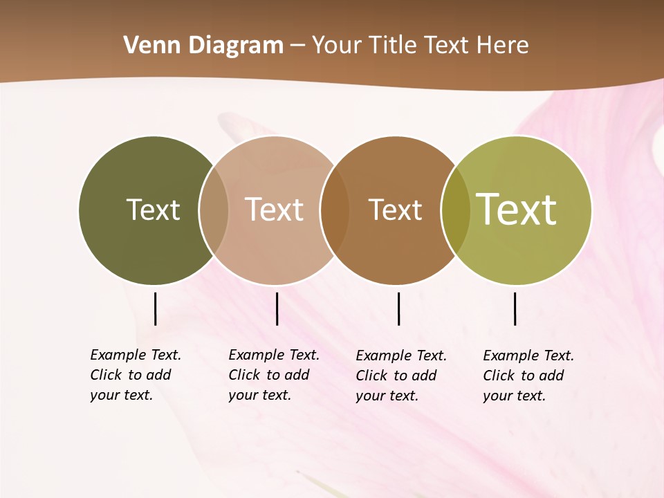 Beautiful Lilium Rose PowerPoint Template