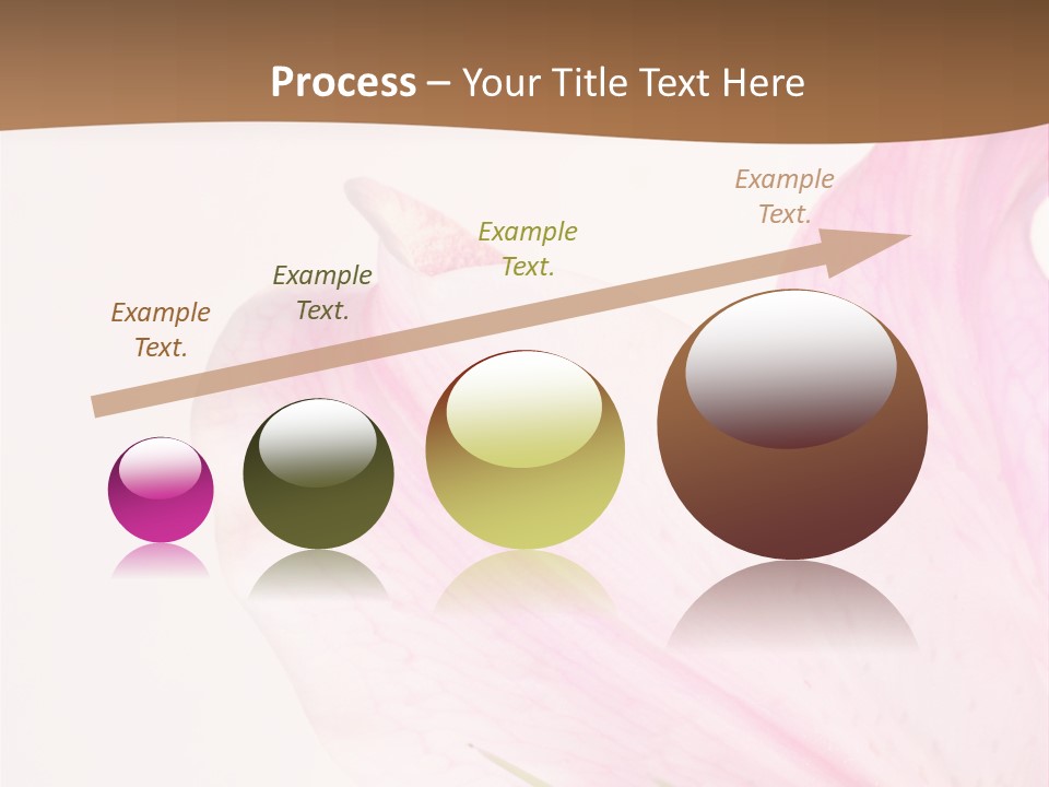 Beautiful Lilium Rose PowerPoint Template