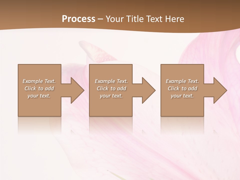 Beautiful Lilium Rose PowerPoint Template